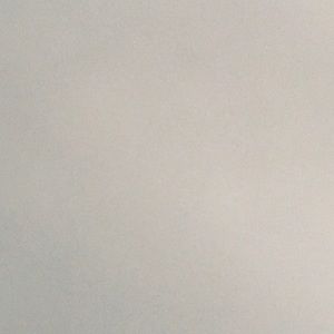 Meet your Posher, Elaine